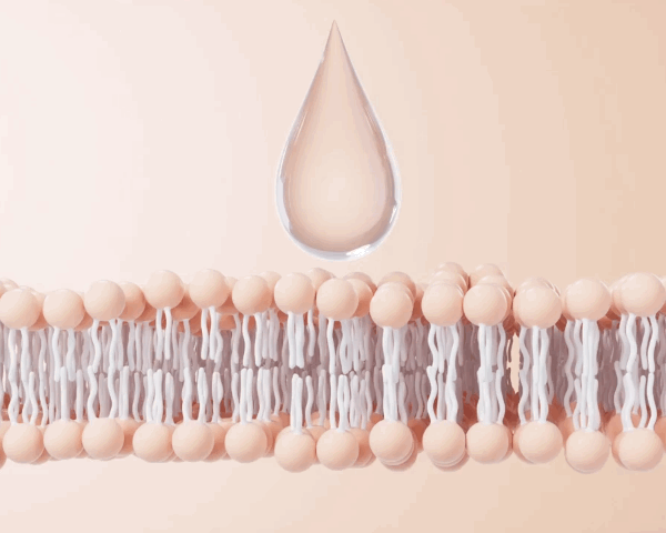 b3b6b1e68d4ff7555dccef937e350489_1782312378_3731.gif